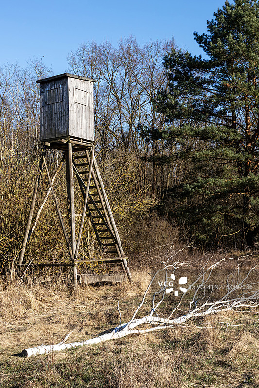 森林中的猎人高台图片素材
