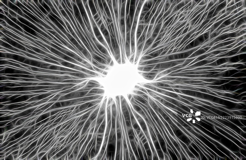 黑色背景上带有神经分支的白色液体神经元状滴液。图片素材