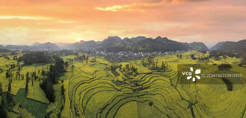 云南罗平日落时分的金色梯田油菜花海。图片素材