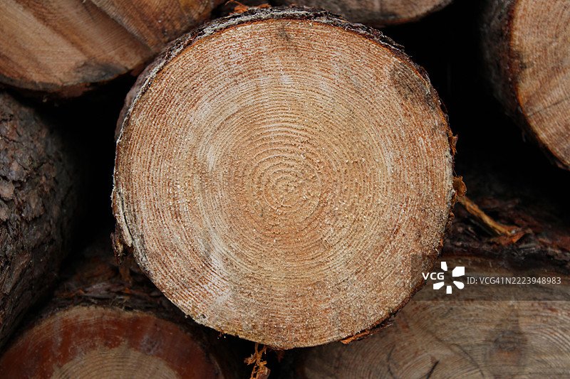 乌克兰的木材特写图片素材