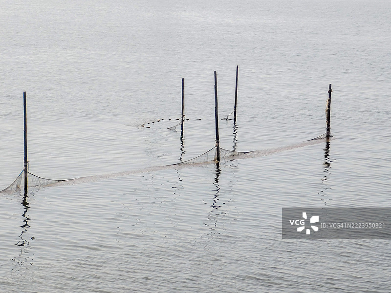 荷兰弗莱福兰省莱利斯塔德的湖泊风景图片素材