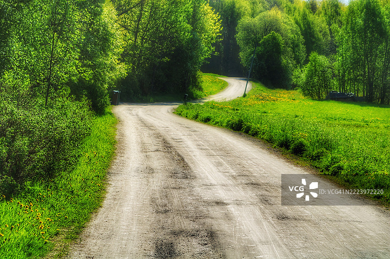 瑞典树林中的空旷道路图片素材
