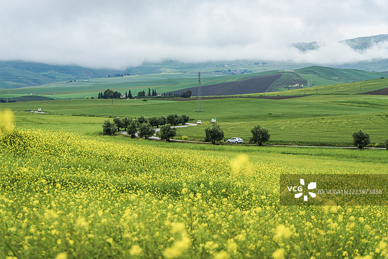阿尔及利亚天空下的农业田野美景图片素材