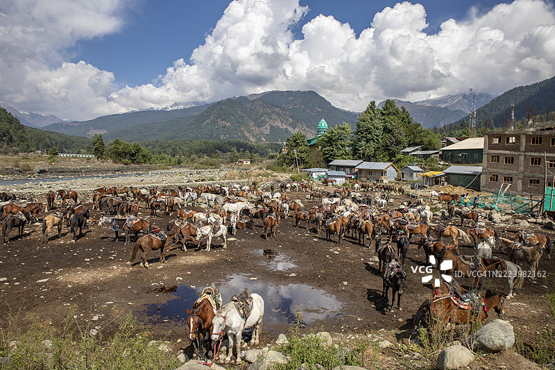 帕哈拉姆提供马术骑行，包括前往巴伊萨兰谷等热门目的地。图片素材