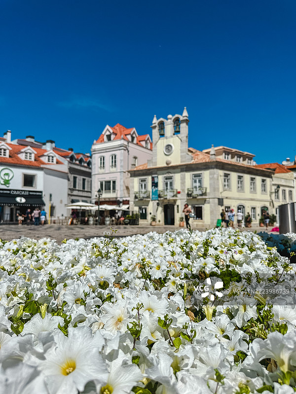 卡斯凯什历史中心图片素材