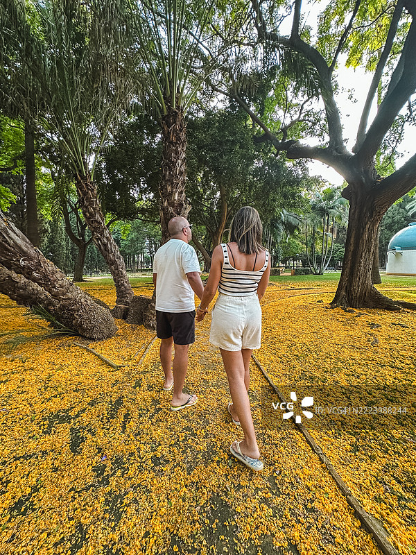 在马贝拉公园中情侣的亲密时刻图片素材