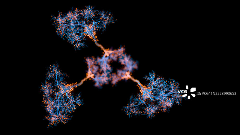 神经系统全息图图片素材