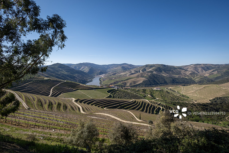 葡萄牙波尔图的农业美景图片素材