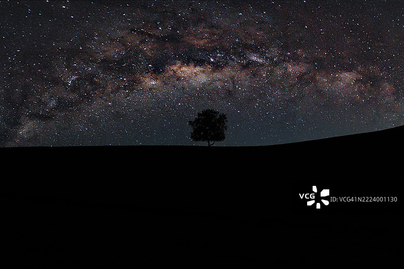 夜空中树木的剪影，辽宁，中国图片素材