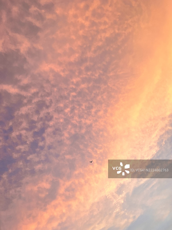 孟买，马哈拉施特拉邦，印度的橙色天空低角度视图图片素材