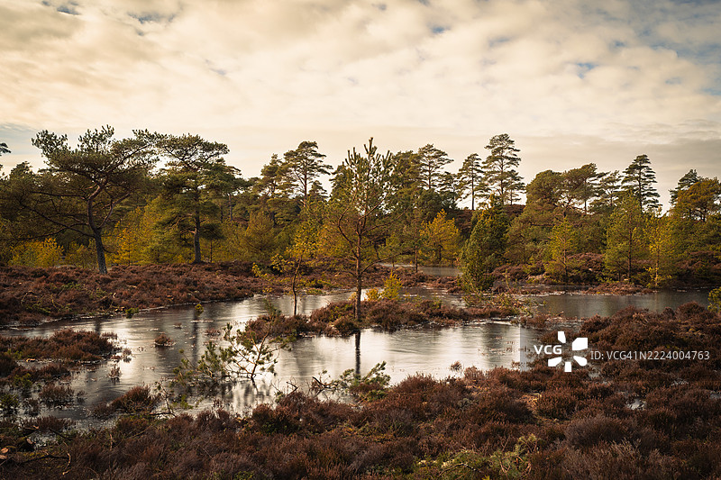 秋天丹麦西丹马克湖边的树木与天空图片素材