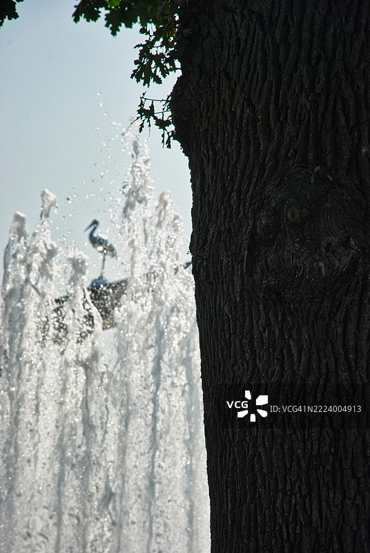 男子在乌兹别克斯坦塔什干攀爬树木图片素材