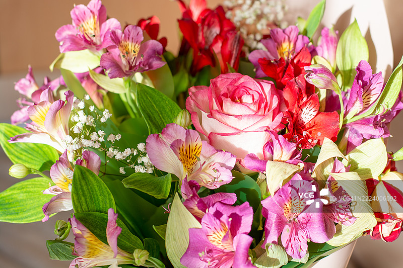 五彩缤纷的花束在阳光的照耀下，贺卡图片素材