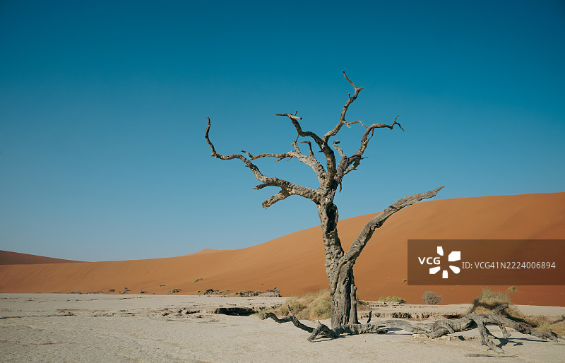 哈达普，纳米比亚，晴朗天空下的沙漠美景图片素材