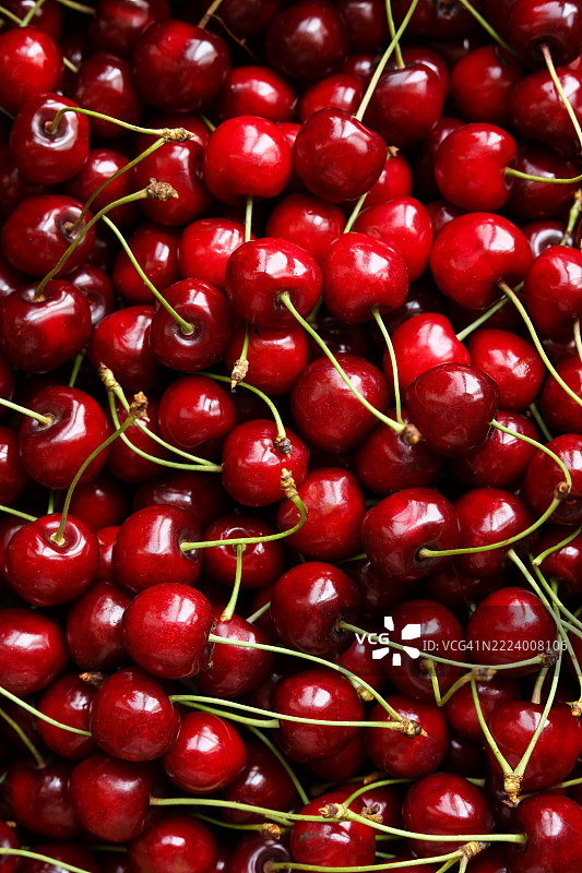 樱桃背景 新鲜红樱桃的俯视图，捷克共和国图片素材