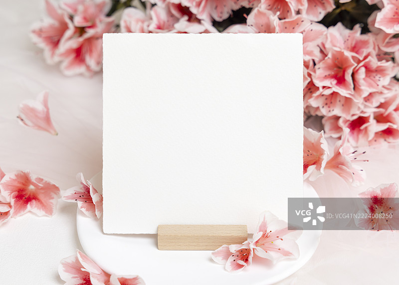 粉色杜鹃花旁的空白方形纸卡特写，春季婚礼样板，布林迪西，普利亚，意大利图片素材