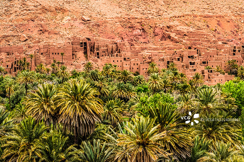 撒哈拉沙漠中的废弃村庄和枣树，阿尔及利亚的蒂米穆恩图片素材