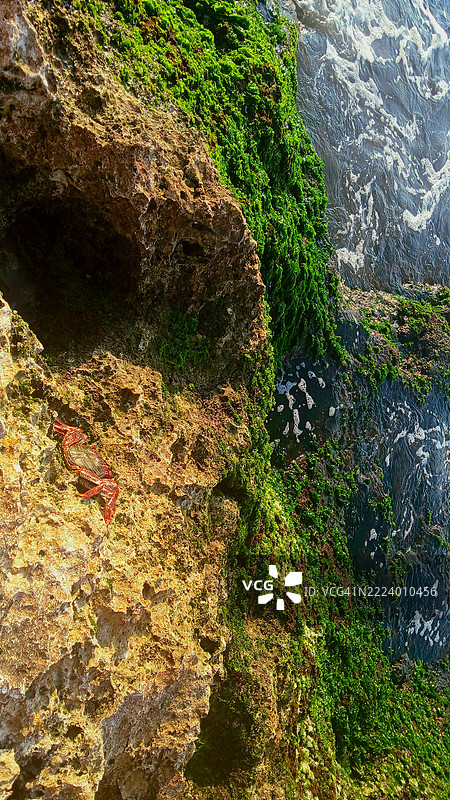 高角度视图的岩石上的苔藓，哈瓦那革命广场，古巴图片素材