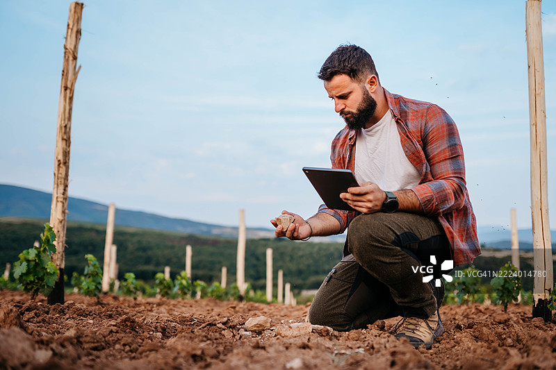 检查葡萄园种植情况图片素材