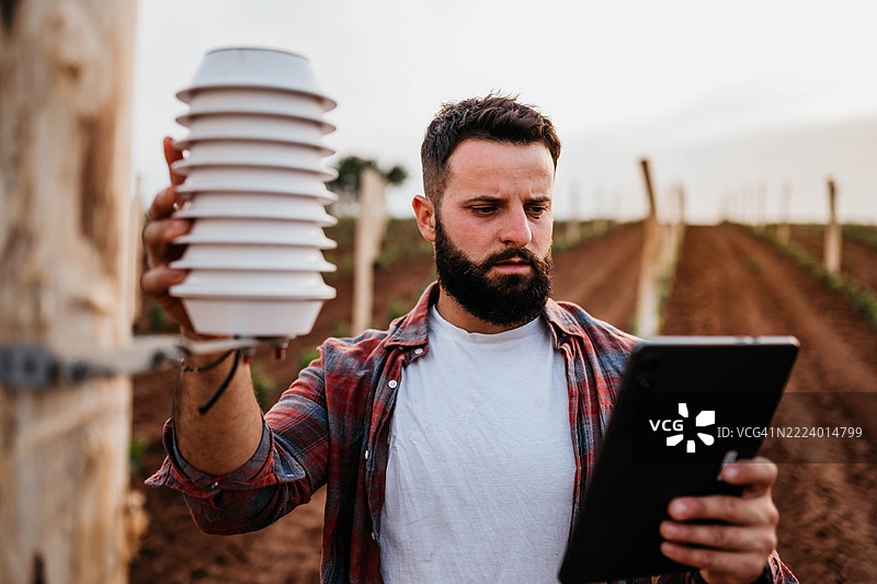 检查葡萄园种植情况图片素材
