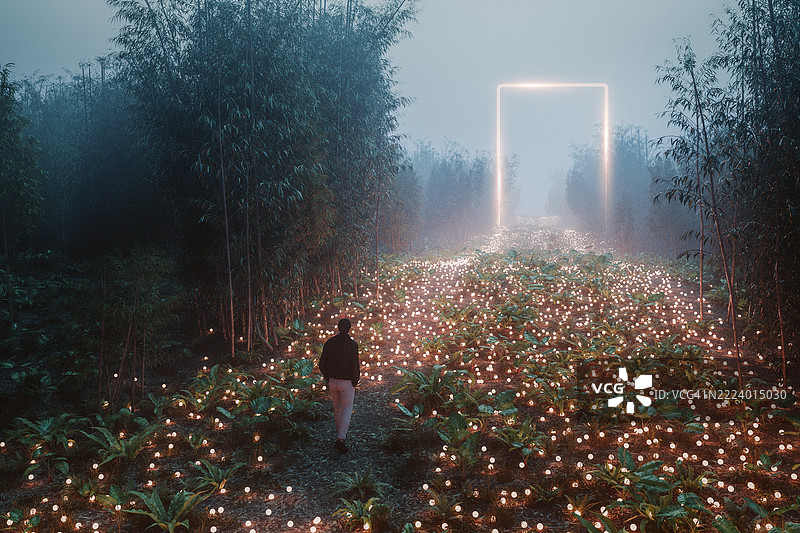 夜晚在神秘丛林中行走的男人图片素材