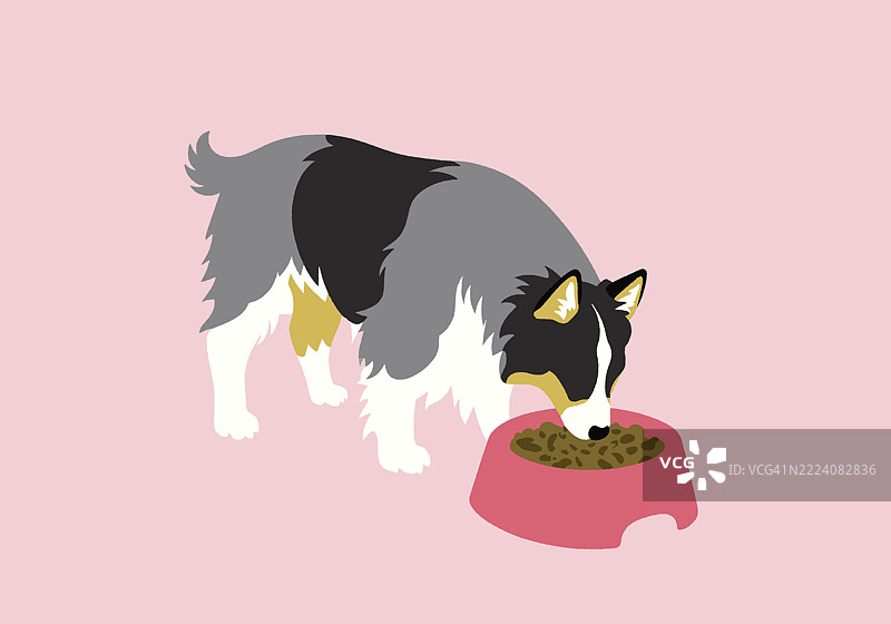 一只狗在浅粉色背景上从粉色碗里吃东西的插图。图片素材