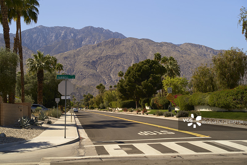 宁静的道路景色，两旁是棕榈树，背景是山脉。美国棕榈泉。图片素材