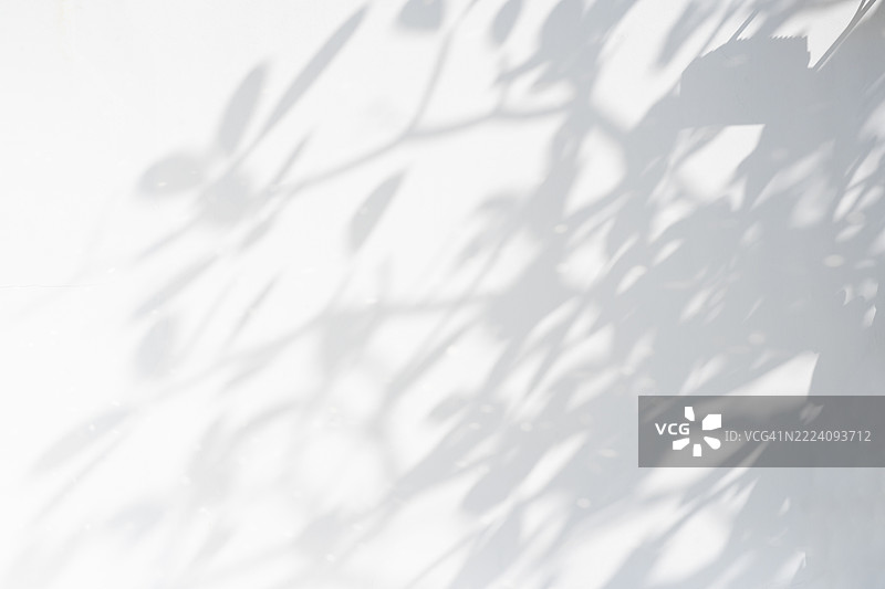 阴影应留在白色混凝土墙的背景上。图片素材