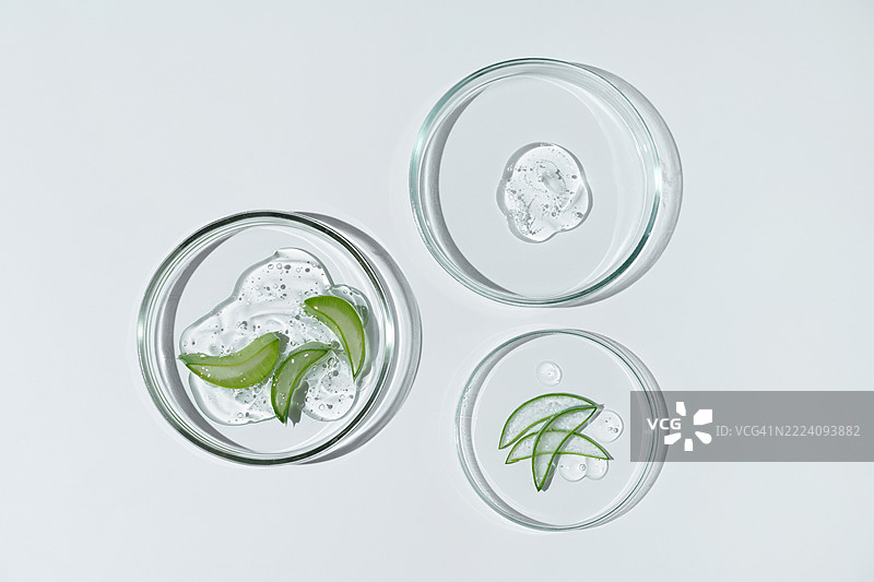白色背景上的培养皿，涂抹有化妆品凝胶和芦荟植物。化妆品化学实验室研究的概念。自然医学、化妆品研究、有机美容产品。图片素材
