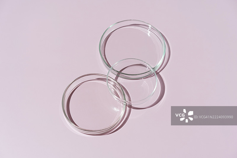 粉色背景上的空白培养皿图片素材