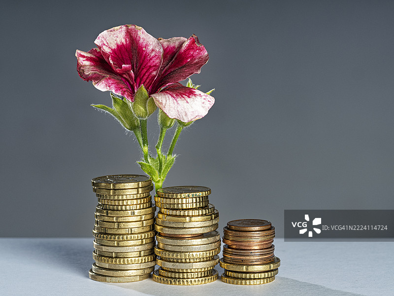 在良好的经济环境中，储蓄硬币堆积如山。图片素材