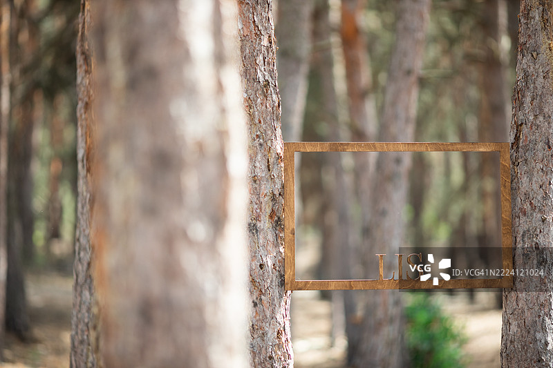 在森林中树木之间设置的装饰性木框，用于拍摄独特的客人照片。图片素材