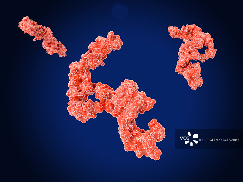 Let7微小RNA前体分子插图图片素材