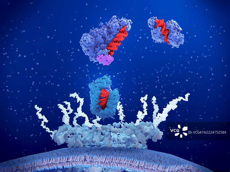 酶与微小RNA复合物插图图片素材