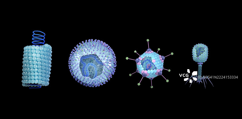 不同病毒形状的插图图片素材