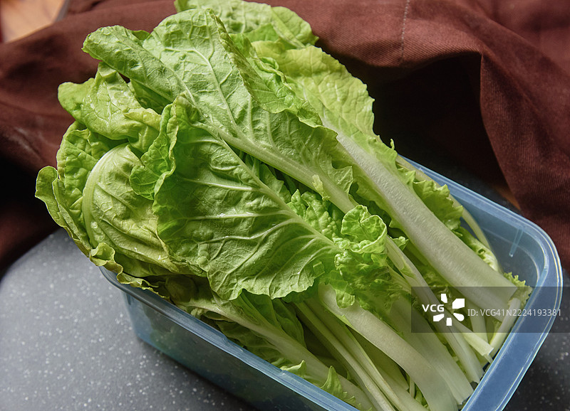 新鲜的中国白菜在塑料容器中图片素材