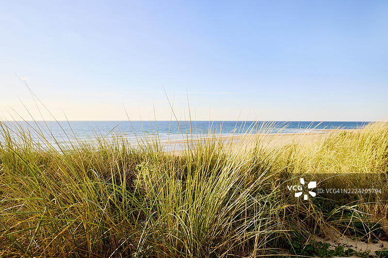 沙丘上长满沙草，夕阳下的海滩和大海在晴朗的天空映衬下美丽景色图片素材