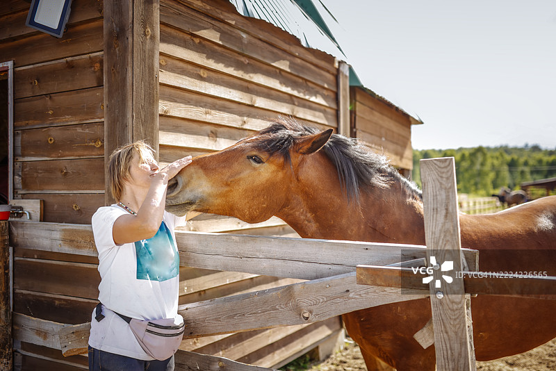 温柔时刻：女人在马场抚摸马匹图片素材