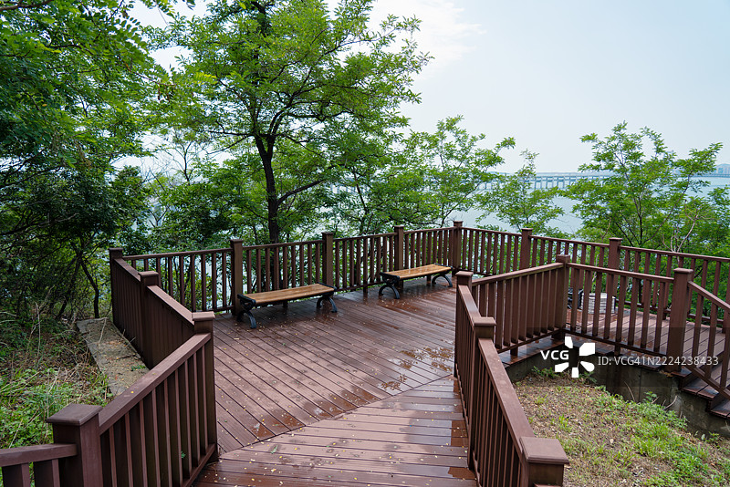 雨后树木旁的公园长椅图片素材