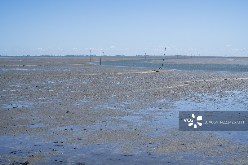 低潮时的瓦登海,施莱斯维希-霍尔斯坦瓦登海国家公园,佩尔沃姆岛,北弗里西亚,北海,施莱斯维希-霍尔斯坦,德国,欧洲图片素材