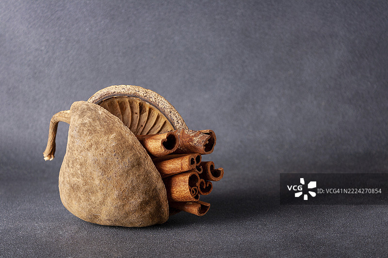 在异国情调的佛树壳中放置的肉桂棒，留白空间图片素材