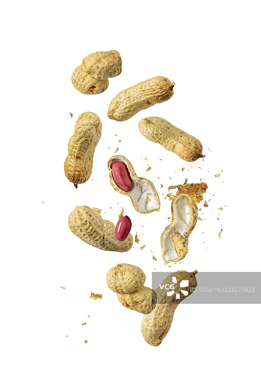 带壳的花生在白色背景上飞翔图片素材
