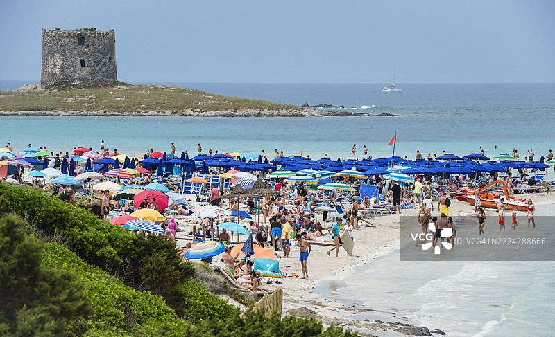 撒丁岛拉佩洛萨海滩的海滩生活图片素材