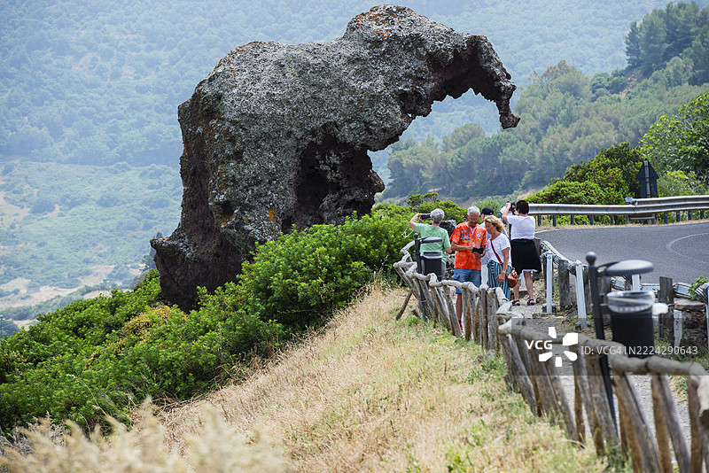 撒丁岛卡斯特尔萨尔多附近著名的象岩图片素材