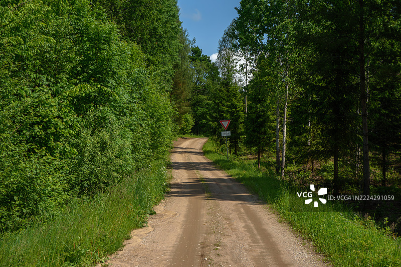 一条被郁郁葱葱的森林环绕的乡村土路，前方可见一个让行交通标志。图片素材