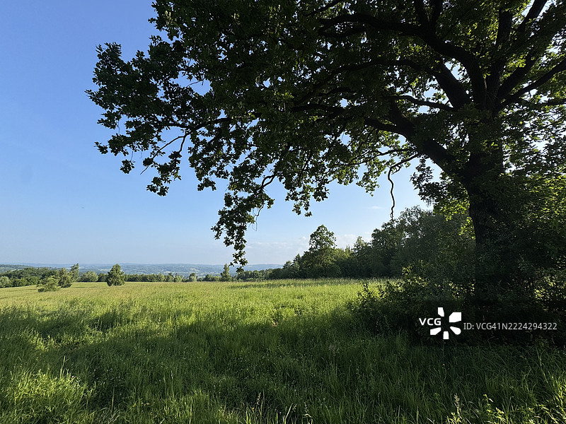 波兰波德卡尔帕奇省普热梅希尔的天空下的田野美景图片素材