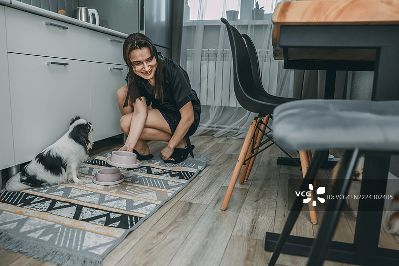 现代厨房中，女性照顾日本狆犬，宠物护理与现代生活方式的概念图片素材