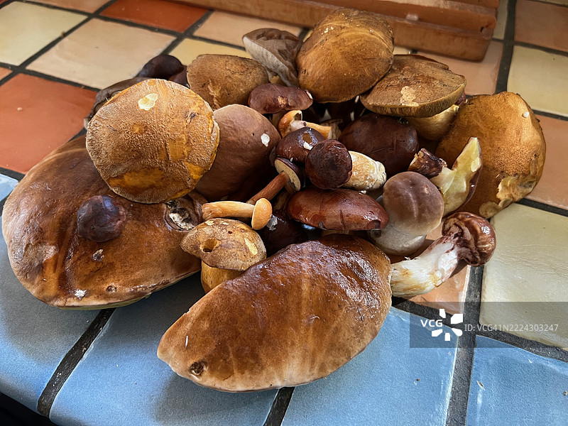 德国奥伯韦马尔桌上的蘑菇特写图片素材