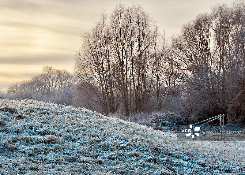 被雪覆盖的田野上的树木与天空，莱斯特，英国图片素材