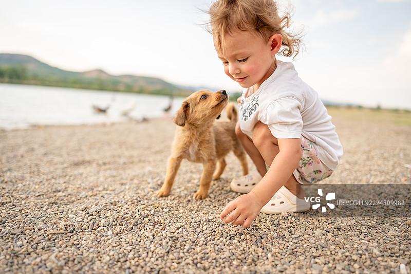 可爱的小宝宝在户外和小狗玩耍图片素材